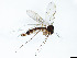  ( - TSZD-JKJ-101425)  @12 [ ] CreativeCommons - Attribution Non-Commercial Share-Alike (2015) Unspecified Tromso University Museum