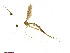 ( - TSZD-JKJ-101467)  @12 [ ] CreativeCommons - Attribution Non-Commercial Share-Alike (2015) Unspecified Tromso University Museum