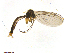  ( - TSZD-JKJ-101470)  @12 [ ] CreativeCommons - Attribution Non-Commercial Share-Alike (2015) Unspecified Tromso University Museum