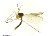  ( - TSZD-JKJ-101477)  @12 [ ] CreativeCommons - Attribution Non-Commercial Share-Alike (2015) Unspecified Tromso University Museum