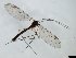  ( - TSZD-JKJ-101517)  @11 [ ] CreativeCommons - Attribution Non-Commercial Share-Alike (2015) Unspecified Tromso University Museum