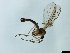 ( - TSZD-JKJ-101522)  @11 [ ] CreativeCommons - Attribution Non-Commercial Share-Alike (2015) Unspecified Tromso University Museum