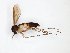  ( - TSZD-JKJ-101567)  @11 [ ] CreativeCommons - Attribution Non-Commercial Share-Alike (2016) Unspecified Tromso University Museum