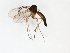  ( - TSZD-JKJ-101612)  @11 [ ] CreativeCommons - Attribution Non-Commercial Share-Alike (2016) Unspecified Tromso University Museum