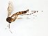  ( - TSZD-JKJ-101620)  @11 [ ] CreativeCommons - Attribution Non-Commercial Share-Alike (2016) Unspecified Tromso University Museum