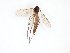  ( - TSZD-JKJ-101648)  @12 [ ] CreativeCommons - Attribution Non-Commercial Share-Alike (2016) Unspecified Tromso University Museum