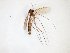  ( - TSZD-JKJ-101651)  @12 [ ] CreativeCommons - Attribution Non-Commercial Share-Alike (2016) Unspecified Tromso University Museum