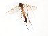  ( - TSZD-JKJ-101670)  @11 [ ] CreativeCommons - Attribution Non-Commercial Share-Alike (2016) Unspecified Tromso University Museum