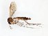  ( - TSZD-JKJ-101677)  @11 [ ] CreativeCommons - Attribution Non-Commercial Share-Alike (2016) Unspecified Tromso University Museum