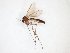  ( - TSZD-JKJ-101679)  @11 [ ] CreativeCommons - Attribution Non-Commercial Share-Alike (2016) Unspecified Tromso University Museum