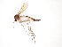  ( - TSZD-JKJ-101686)  @11 [ ] CreativeCommons - Attribution Non-Commercial Share-Alike (2016) Unspecified Tromso University Museum