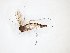  ( - TSZD-JKJ-101704)  @12 [ ] CreativeCommons - Attribution Non-Commercial Share-Alike (2016) Unspecified Tromso University Museum