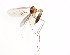  ( - TSZD-JKJ-101732)  @11 [ ] CreativeCommons - Attribution Non-Commercial Share-Alike (2016) Unspecified Tromso University Museum