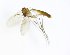  ( - TSZD-JKJ-101735)  @13 [ ] CreativeCommons - Attribution Non-Commercial Share-Alike (2016) Unspecified Tromso University Museum