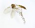  ( - TSZD-JKJ-101735)  @13 [ ] CreativeCommons - Attribution Non-Commercial Share-Alike (2016) Unspecified Tromso University Museum