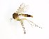  ( - TSZD-JKJ-101740)  @11 [ ] CreativeCommons - Attribution Non-Commercial Share-Alike (2016) Unspecified Tromso University Museum