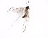  ( - TSZD-JKJ-101750)  @11 [ ] CreativeCommons - Attribution Non-Commercial Share-Alike (2016) Unspecified Tromso University Museum