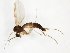  ( - TSZD-JKJ-101784)  @13 [ ] CreativeCommons - Attribution Non-Commercial Share-Alike (2016) Unspecified Tromso University Museum