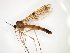  ( - TSZD-JKJ-101793)  @11 [ ] CreativeCommons - Attribution Non-Commercial Share-Alike (2016) Unspecified Tromso University Museum