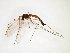  ( - TSZD-JKJ-101794)  @11 [ ] CreativeCommons - Attribution Non-Commercial Share-Alike (2016) Unspecified Tromso University Museum