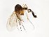  ( - TSZD-JKJ-101800)  @11 [ ] CreativeCommons - Attribution Non-Commercial Share-Alike (2016) Unspecified Tromso University Museum