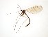  ( - TSZD-JKJ-101817)  @11 [ ] CreativeCommons - Attribution Non-Commercial Share-Alike (2016) Unspecified Tromso University Museum