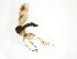  ( - TSZD-JKJ-101843)  @12 [ ] CreativeCommons - Attribution Non-Commercial Share-Alike (2016) Unspecified Tromso University Museum