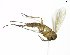  ( - TSZD-JKJ-102081)  @11 [ ] CreativeCommons - Attribution Non-Commercial Share-Alike (2016) Unspecified Tromsø University Museum