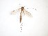  ( - TSZD-JKJ-102267)  @13 [ ] CreativeCommons - Attribution Non-Commercial Share-Alike (2016) Unspecified Tromsø University Museum