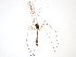  ( - TSZD-JKJ-102283)  @11 [ ] CreativeCommons - Attribution Non-Commercial Share-Alike (2016) Unspecified Tromsø University Museum
