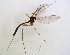  ( - TSZD-JKJ-102284)  @11 [ ] CreativeCommons - Attribution Non-Commercial Share-Alike (2016) Unspecified Tromsø University Museum