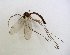  ( - TSZD-JKJ-102287)  @11 [ ] CreativeCommons - Attribution Non-Commercial Share-Alike (2016) Unspecified Tromsø University Museum