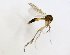  ( - TSZD-JKJ-102293)  @11 [ ] CreativeCommons - Attribution Non-Commercial Share-Alike (2016) Unspecified Tromsø University Museum