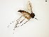  ( - TSZD-JKJ-102357)  @13 [ ] CreativeCommons - Attribution Non-Commercial Share-Alike (2016) Unspecified Tromsø University Museum