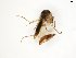  ( - TSZD-JKJ-102368)  @11 [ ] CreativeCommons - Attribution Non-Commercial Share-Alike (2016) Unspecified Tromsø University Museum
