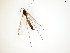 ( - TSZD-JKJ-102427)  @12 [ ] CreativeCommons - Attribution Non-Commercial Share-Alike (2016) Unspecified Tromsø University Museum