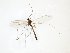  ( - TSZD-JKJ-102468)  @12 [ ] CreativeCommons - Attribution Non-Commercial Share-Alike (2016) Unspecified Tromsø University Museum