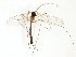  ( - TSZD-JKJ-102469)  @12 [ ] CreativeCommons - Attribution Non-Commercial Share-Alike (2016) Unspecified Tromsø University Museum