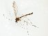  ( - TSZD-JKJ-102483)  @11 [ ] CreativeCommons - Attribution Non-Commercial Share-Alike (2016) Unspecified Tromsø University Museum