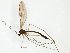  ( - TSZD-JKJ-102486)  @11 [ ] CreativeCommons - Attribution Non-Commercial Share-Alike (2016) Unspecified Tromsø University Museum