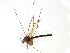  ( - TSZD-JKJ-102504)  @11 [ ] CreativeCommons - Attribution Non-Commercial Share-Alike (2016) Unspecified Tromsø University Museum