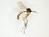  ( - TSZD-JKJ-102564)  @11 [ ] CreativeCommons - Attribution Non-Commercial Share-Alike (2016) Unspecified Tromsø University Museum