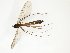  ( - TSZD-JKJ-102568)  @12 [ ] CreativeCommons - Attribution Non-Commercial Share-Alike (2016) Unspecified Tromsø University Museum