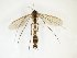  ( - TSZD-JKJ-102577)  @13 [ ] CreativeCommons - Attribution Non-Commercial Share-Alike (2016) Unspecified Tromsø University Museum