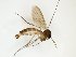  ( - TSZD-JKJ-102578)  @11 [ ] CreativeCommons - Attribution Non-Commercial Share-Alike (2016) Unspecified Tromsø University Museum