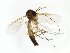 ( - TSZD-JKJ-102600)  @13 [ ] CreativeCommons - Attribution Non-Commercial Share-Alike (2016) Unspecified Tromsø University Museum