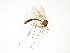 ( - TSZD-JKJ-102609)  @13 [ ] CreativeCommons - Attribution Non-Commercial Share-Alike (2016) Unspecified Tromsø University Museum