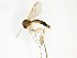 ( - TSZD-JKJ-102614)  @11 [ ] CreativeCommons - Attribution Non-Commercial Share-Alike (2016) Unspecified Tromsø University Museum