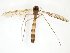  ( - TSZD-JKJ-102623)  @13 [ ] CreativeCommons - Attribution Non-Commercial Share-Alike (2016) Unspecified Tromsø University Museum