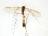  ( - TSZD-JKJ-102624)  @13 [ ] CreativeCommons - Attribution Non-Commercial Share-Alike (2016) Unspecified Tromsø University Museum